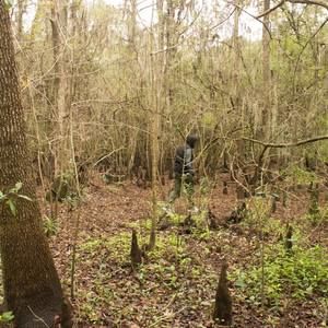 Meet your Posher, Dewitt